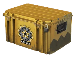 2v2 case battle