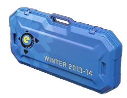 eSports 2013 Winter