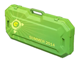 eSports 2014 Summer